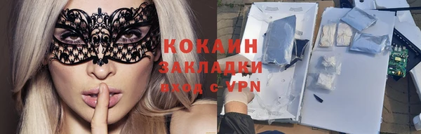 трава Ельня