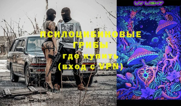 трава Ельня