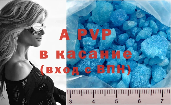 трава Ельня