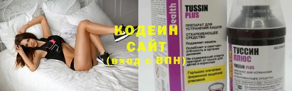 трава Ельня