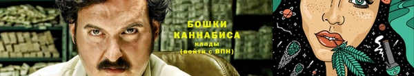 трава Ельня