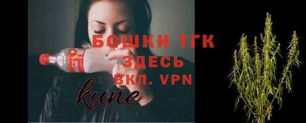 амф Елабуга