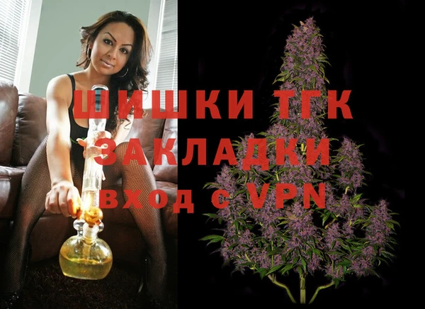 трава Ельня