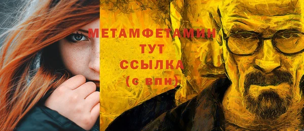 трава Ельня