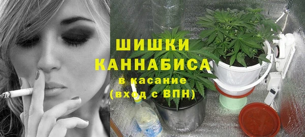 трава Ельня