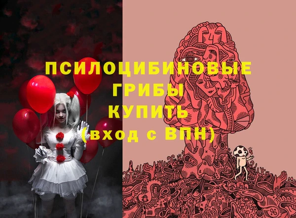 трава Ельня