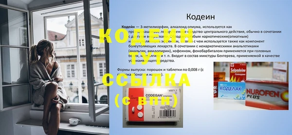 амф Елабуга