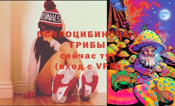 альфа пвп Елизово