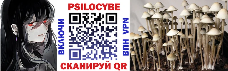 Купить  Порхов  Галлюциногенные грибы Cubensis 